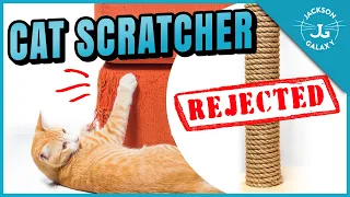 Why Your Cat Won’t Use the Scratching Post