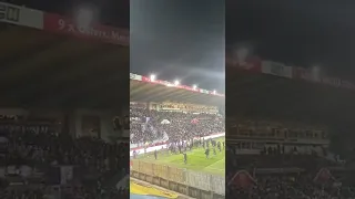 Austria Wien Fans in der Südstadt