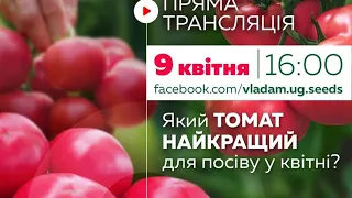 Який ТОМАТ краще для посіву у КВІТНІ?