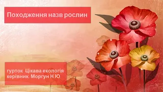 Походження назв рослин