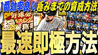 無課金、初心者必見！Sランク選手を最速で極みまで育成する方法徹底解説！エナジーを使わずに極みまで育成できます。【プロスピA】【プロ野球スピリッツa】