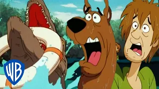 Scooby-Doo! po Polsku | Scooby za burtą! | WB Kids