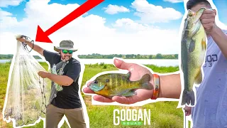 Fishing with LIVE BLUEGILLS to Catch GIANT BASS!!! (Cast Net Challenge)