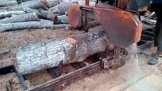 Aserrado de tronco de cedro