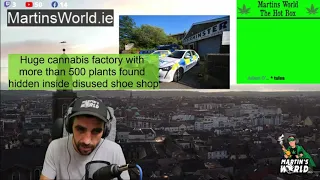 HUGE CANNABIS Factory Found (500 Plants)