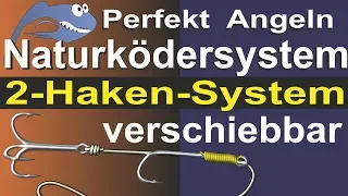 Perfekt Angeln - 2 Haken Naturködersystem, verschiebbar, Angelknoten, Montage, Bindeanleitung, Tipps