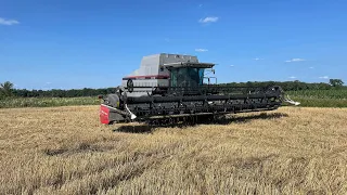 Gleaner R72 harvesting rye.