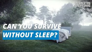 What happens to your body when you don’t sleep?