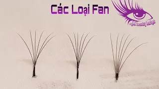 Các Loai Fan Volume Ưu Và Khuyết Điểm. www.hoabeautylashes.com