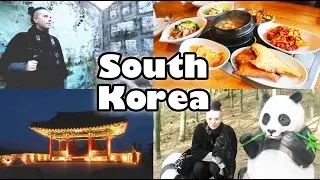 An Unexpected Trip to South Korea | Toxic Tears Vlog