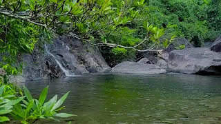 The Sound of Flowing Water | Gentle relaxation, easy to sleep well