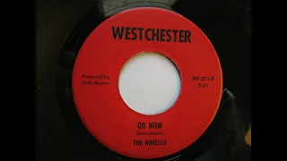 *The Novells*  |   Go Now   | 1967 Garage Rock 7" Vinyl Record