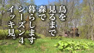 《イッキ見４》水曜どうでしょうハウスで野鳥観察の刑。シーズン４（十八日目～二十四日目）