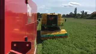 Pea Viner Precision