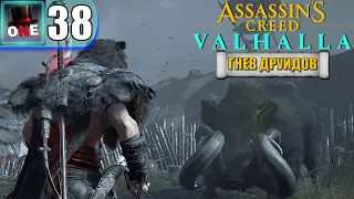 ИРЛАНДИЯ НА 100% ◢◣ DLC: Гнев Друидов | Assassin's Creed Valhalla ◥◤ ПРОХОЖДЕНИЕ 38