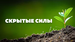 Скрытые силы. Передача из цикла, Время действовать!