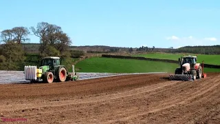 Drilling Maize Under Plastic with Fendt, Harrowing by Massey as Well!