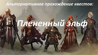 Divinity: Original Sin 2 - Квест Плененный эльф