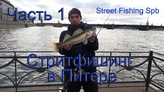 Стритфишинг в Питере. В центре Санкт-Петербурга рыбалка на Неве. Часть 1.