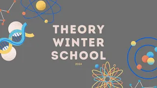 Theory Winter School 2024: Andrea Cavalleri