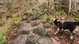 Wandern mit Hund durch die TEUFELSSCHLUCHT und die Teufels 8 in der Südeifel.