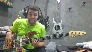 Red Hot Chili Peppers - Intro Jam Live at Tokyo Dome 2023 (Bass Cover)