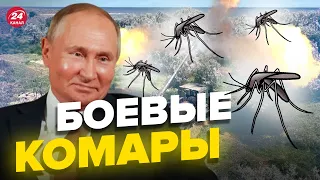 На Путина напали боевые комары
