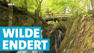 Im Tal der wilden Endert | Wandercheck | SWR | Landesschau Rheinland-Pfalz