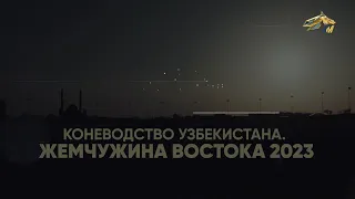 PRO_Лошадей. Коневодство Узбекистана. 3 июня 2023.16:20