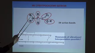 Кудряшова Е. В. - Физические методы биохимии - Инфракрасный спектр белков