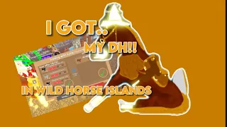 I got..AN ARAB IUH!! || WFL?? || Wild Horse Islands Roblox