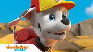 PAW Patrol : La Pat' Patrouille | Les sauvetages de volcans | Missions sous-marines | Nickelodeon Jr