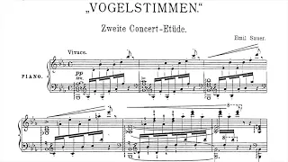 [Emil von Sauer] Etudes de Concert No.1-10 (Score-Video)