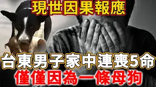 因果報應現世就到！一月內家中連喪五命，他崩潰問天，哪知竟是因此事遭了報應！看明白的趕緊用高僧的這個方法，消減惡業！#禪語