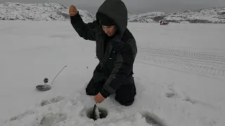 ЗИМНЕЕ МОРЕ РАДУЕТ КЛЁВОМ / WINTER SEA