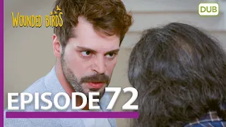 Wounded Birds Episode 72 - Urdu Dubbed | Turkish Drama