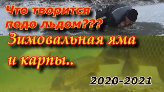 Зимовальная яма полная карпа .чем питается карп зимой. Первый лёд рыбалка на карпа