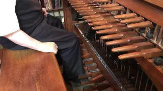 Sam Hammond at Duke Chapel