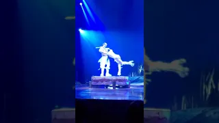 Cirque du soleil TOTEM fragments, Dusseldorf, January 2020