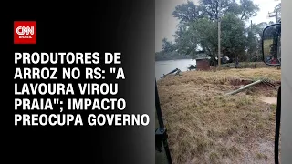 Produtores de arroz no RS: "A lavoura virou praia"; impacto preocupa governo | CNN NOVO DIA