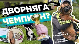 Собака из приюта с друзьями на первых соревнованиях. Соревнования собак RALLY OBEDIENCE.