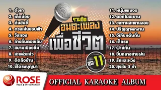 รวมฮิต - อมตะเพลงเพื่อชีวิต ชุด 11 (Karaoke Album)