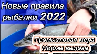 Норма вылова рыбы 2022. Новые Правила Рыболовства в Беларуси. Промысловая мера рыбы РБ