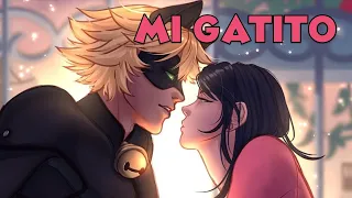 MENSAJES DE WHATSAPP  | Miraculous Ladybug Comic Español.