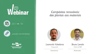 Compósitos renováveis: das plantas aos materiais