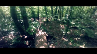 Screaming Woods [HD]