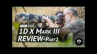 Canon 1DX Mark III. Feature packed Beast of a Camera! A Review.