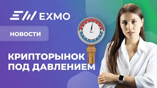 EXMO Крипто Новости | Упадок BTC, скупка китами ETH и конкурсы на EXMO Margin