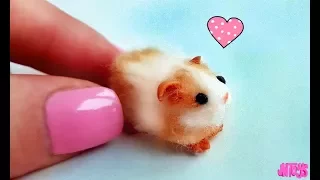 САМАЯ МАЛЕНЬКАЯ МОРСКАЯ СВИНКА Своими Руками GUINEA PIG DIY Лепка из Полимерной Глины  Пластилина