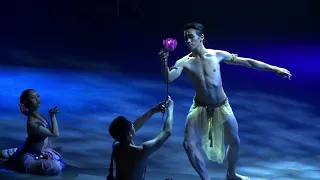 Bangkok City Ballet   Contemporary Dance Trailer